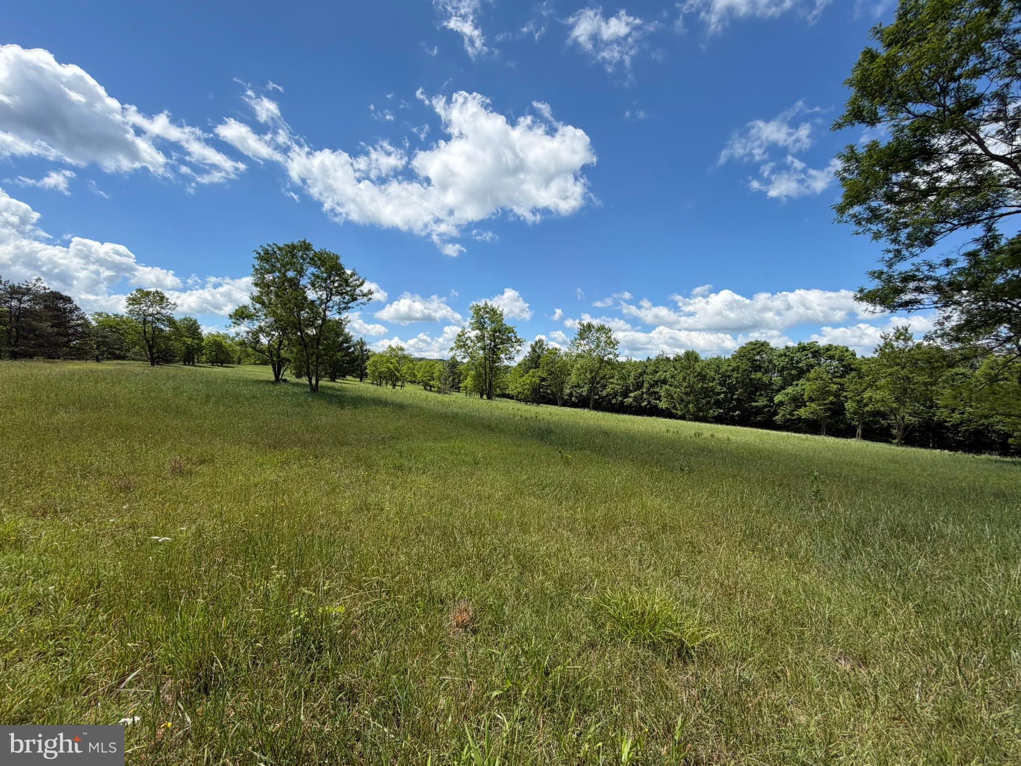 848 Sugar Camp Road Clearfield, PA 16830 - Photo 62 of 118