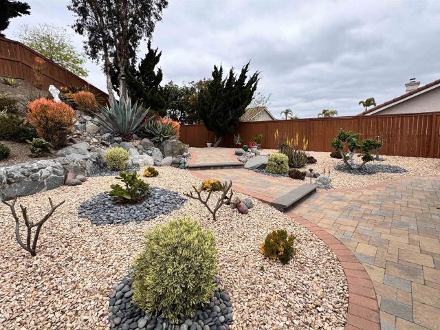a view of a yard with plants