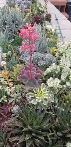 $1,260,000 | 5119 Berryessa Street, Oceanside, CA 92056