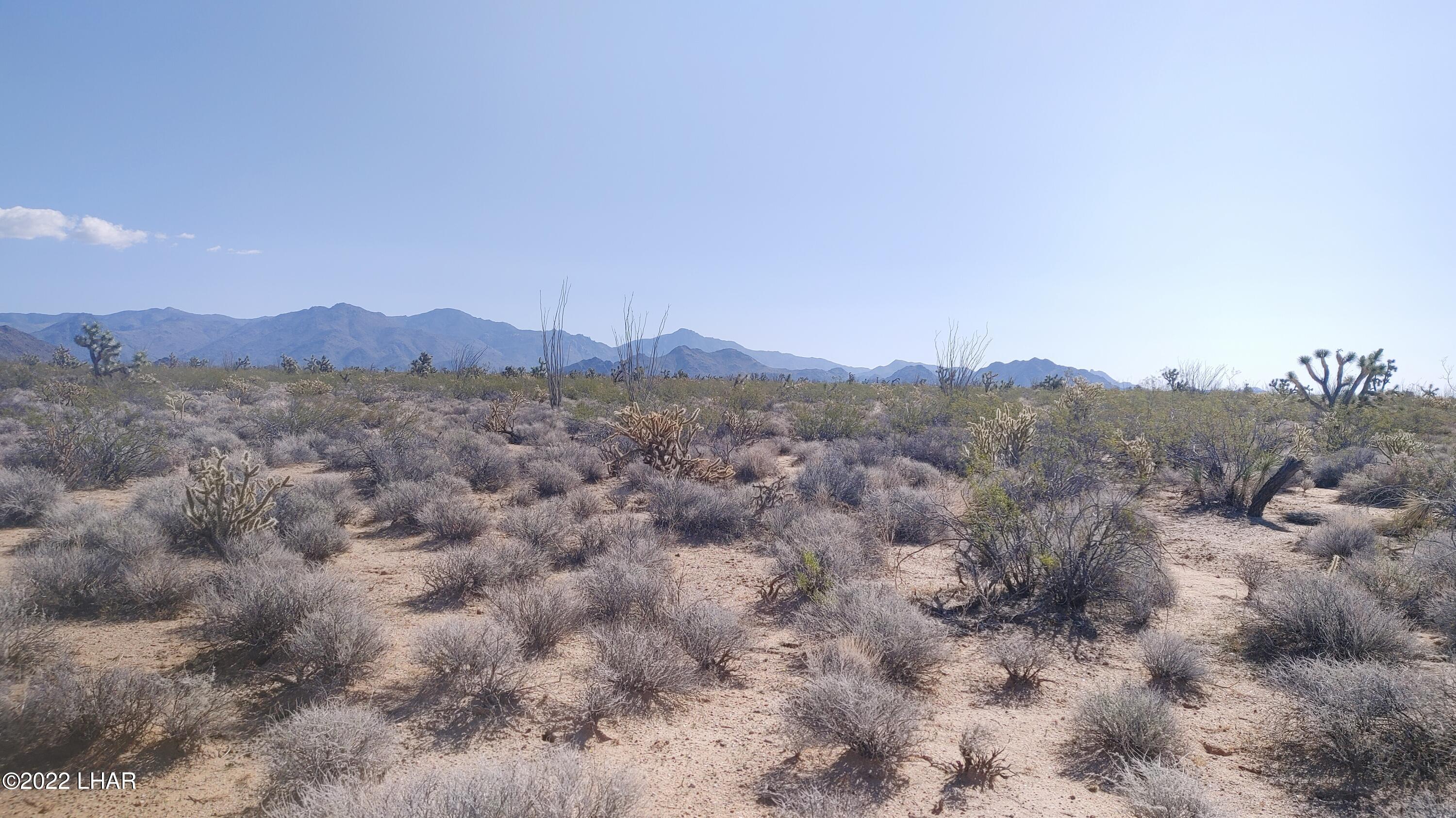 3249 South Roy Rogers Road Yucca, AZ 86438 - Photo 1 of 20 0316221016
