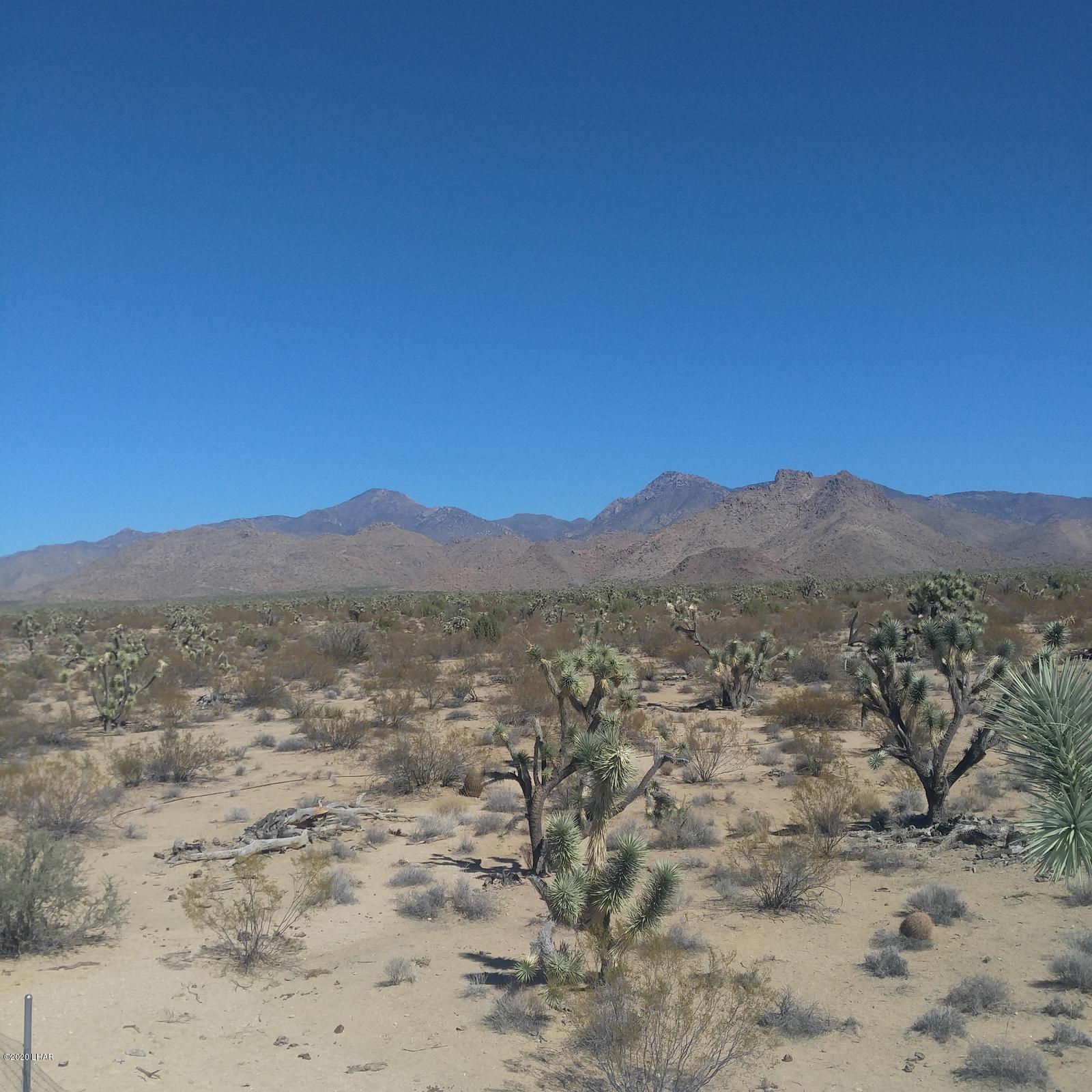 3249 South Roy Rogers Road Yucca, AZ 86438 - Photo 2 of 20 1015161221a (1)