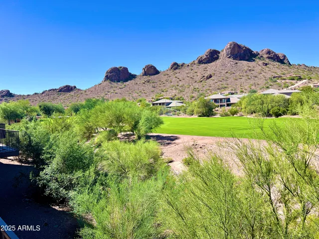 a view of a field with a mountain in the background