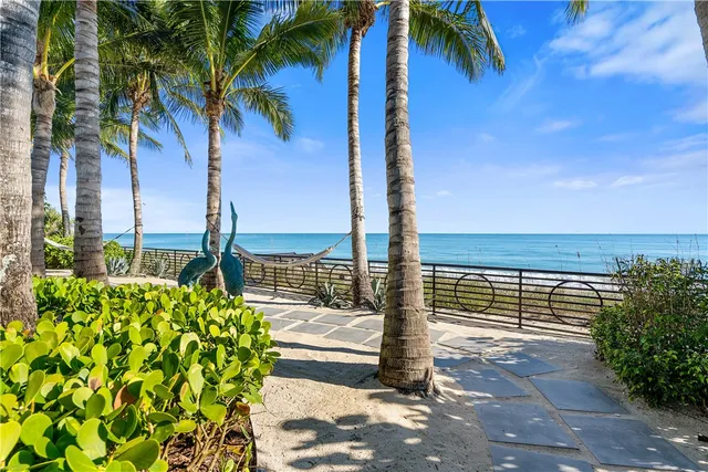 a view of ocean with a palm tree
