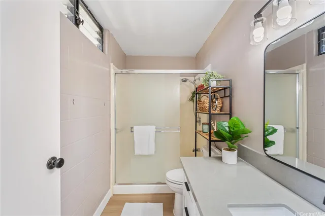 a room with a potted plant