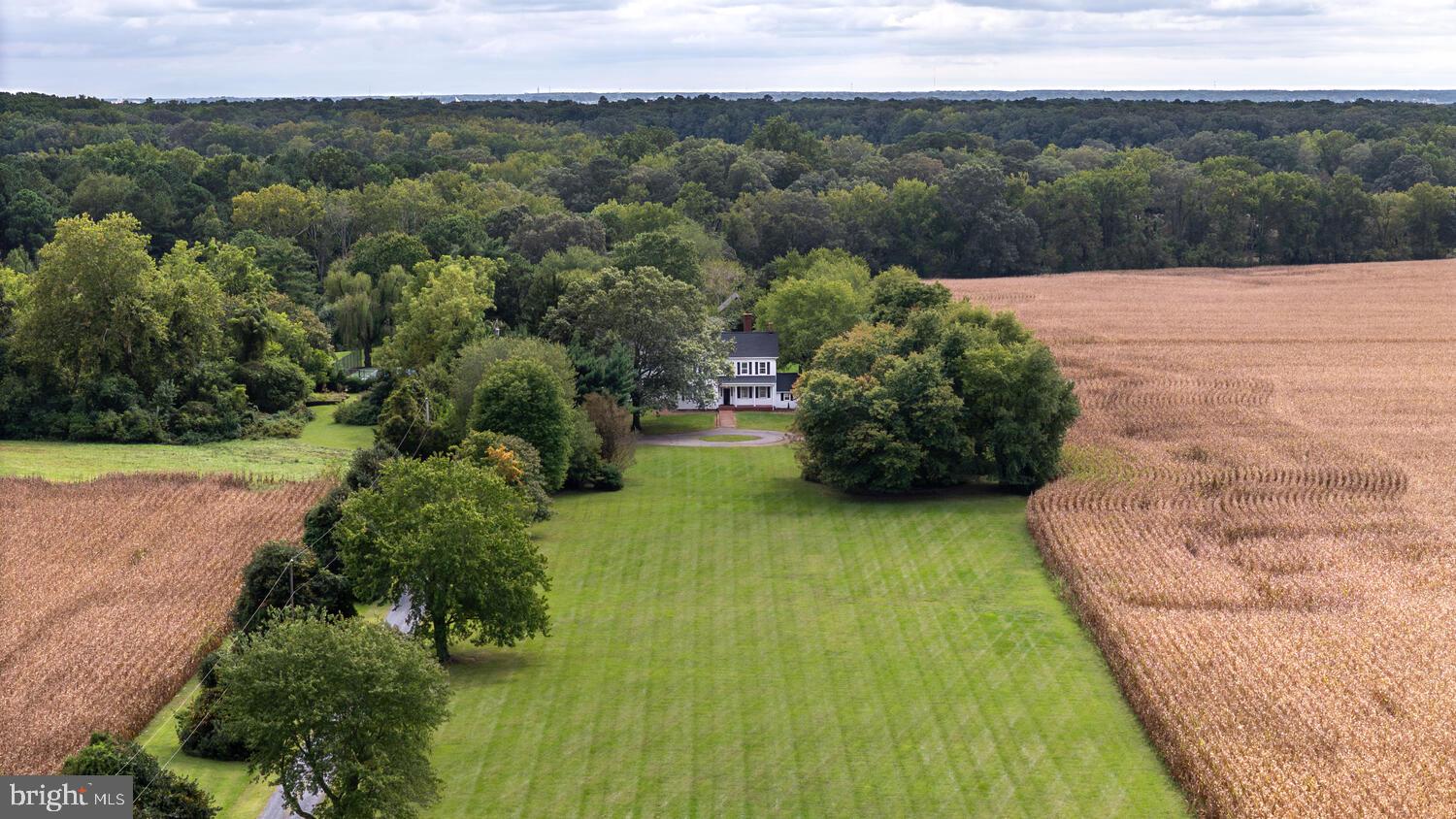 28923 Island Creek Road Trappe, MD 21673 - Photo 11 of 95 Scenic approach to house