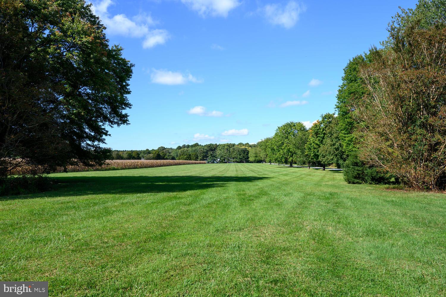 28923 Island Creek Road Trappe, MD 21673 - Photo 12 of 95 Front yard view from the house