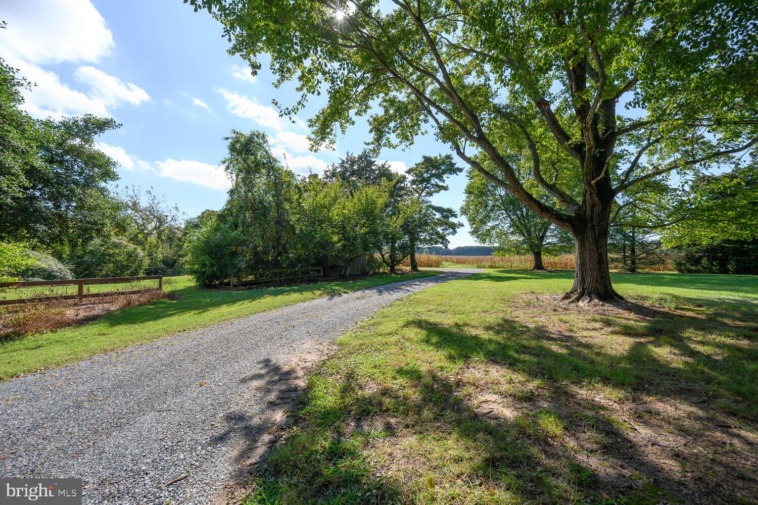 28923 Island Creek Road Trappe, MD 21673 - Photo 25 of 95 Pastoral views