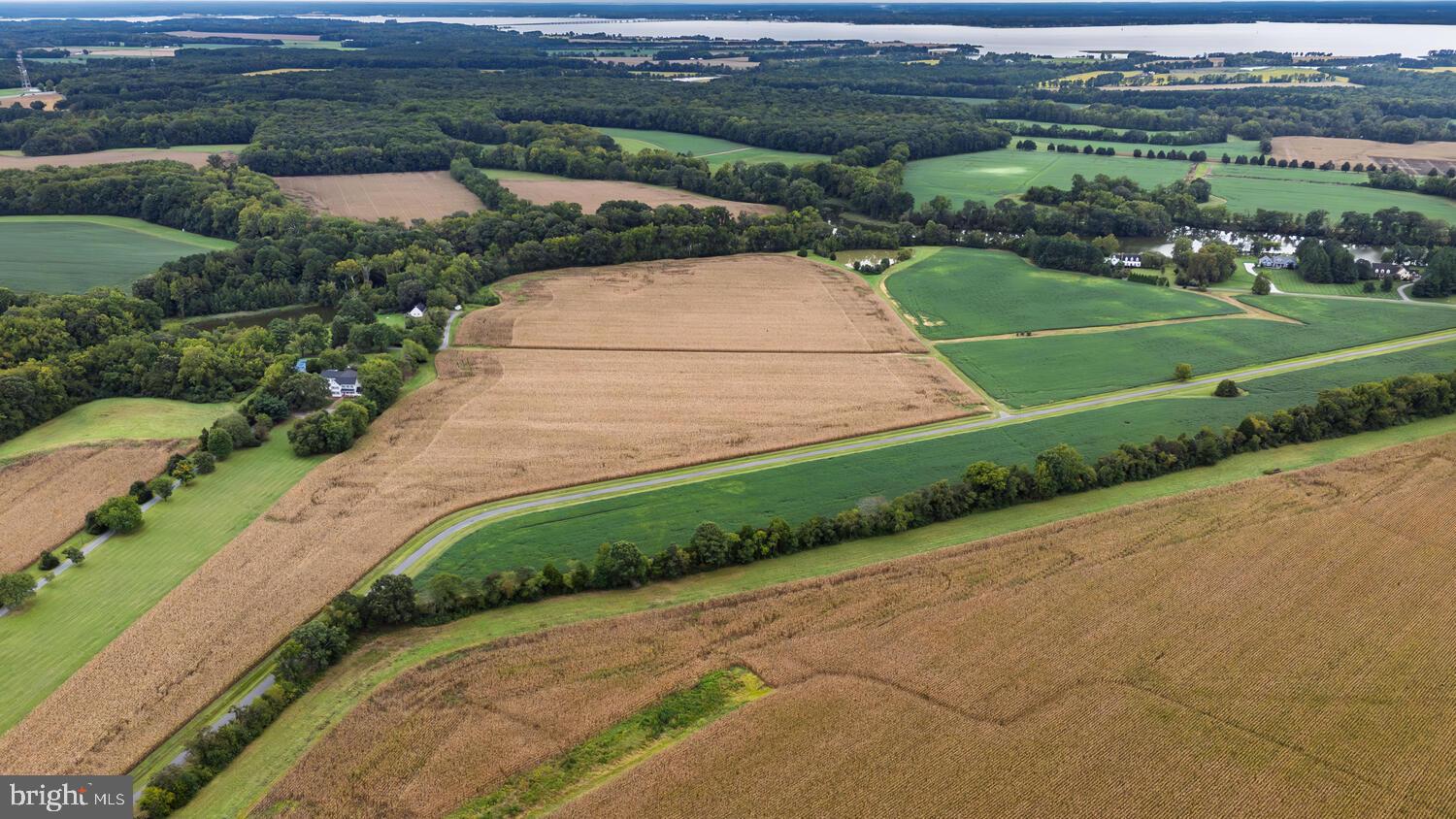 28923 Island Creek Road Trappe, MD 21673 - Photo 7 of 95 65 +/- acres in till