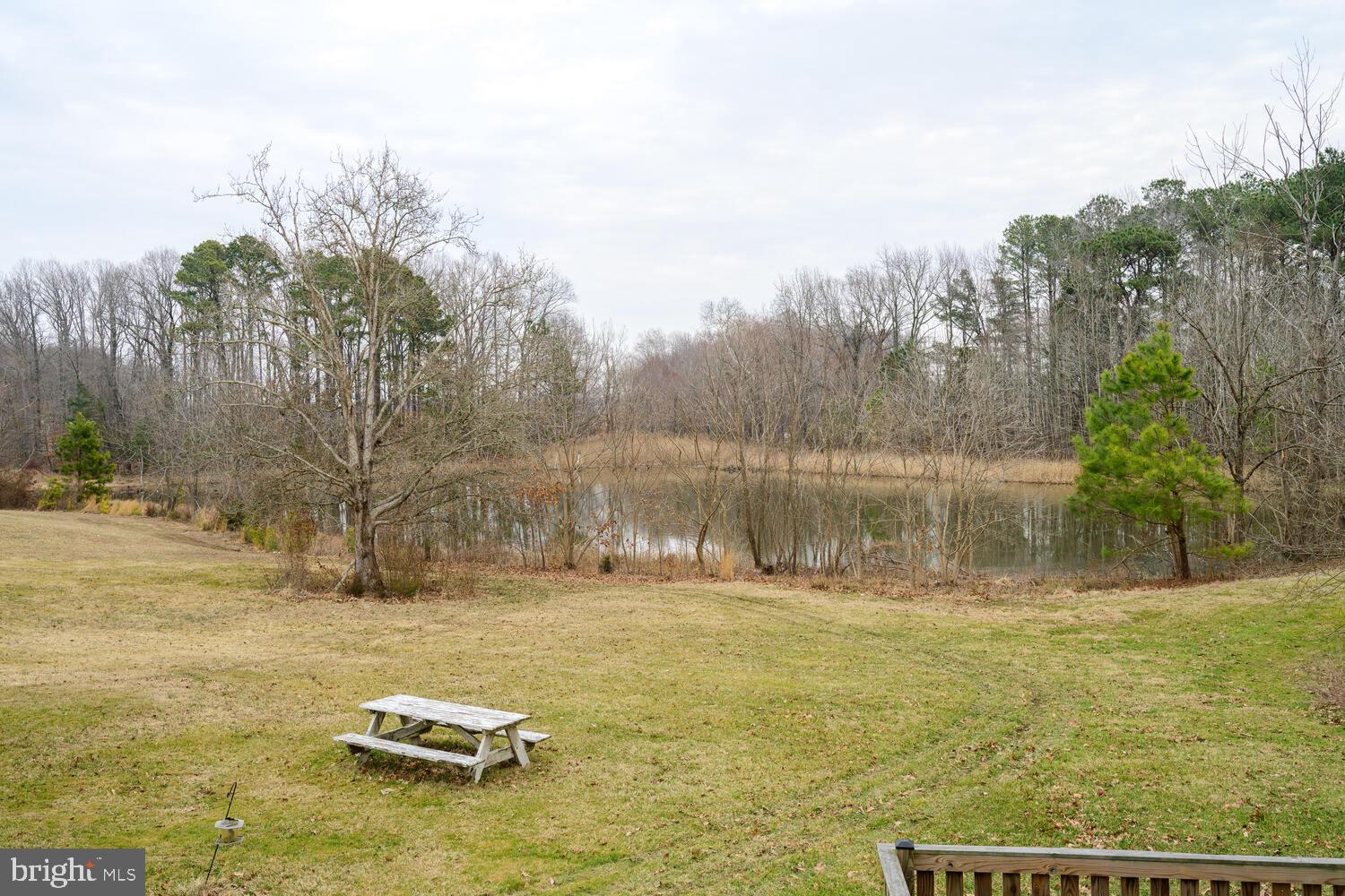 28923 Island Creek Road Trappe, MD 21673 - Photo 77 of 95 Pond views Cottage A