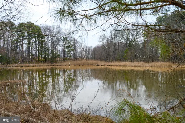 $2,675,000 | 28923 Island Creek Road, Trappe, MD 21673