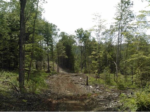 Ladieu Road Plainfield, NH 03781 - Photo 3 of 10
