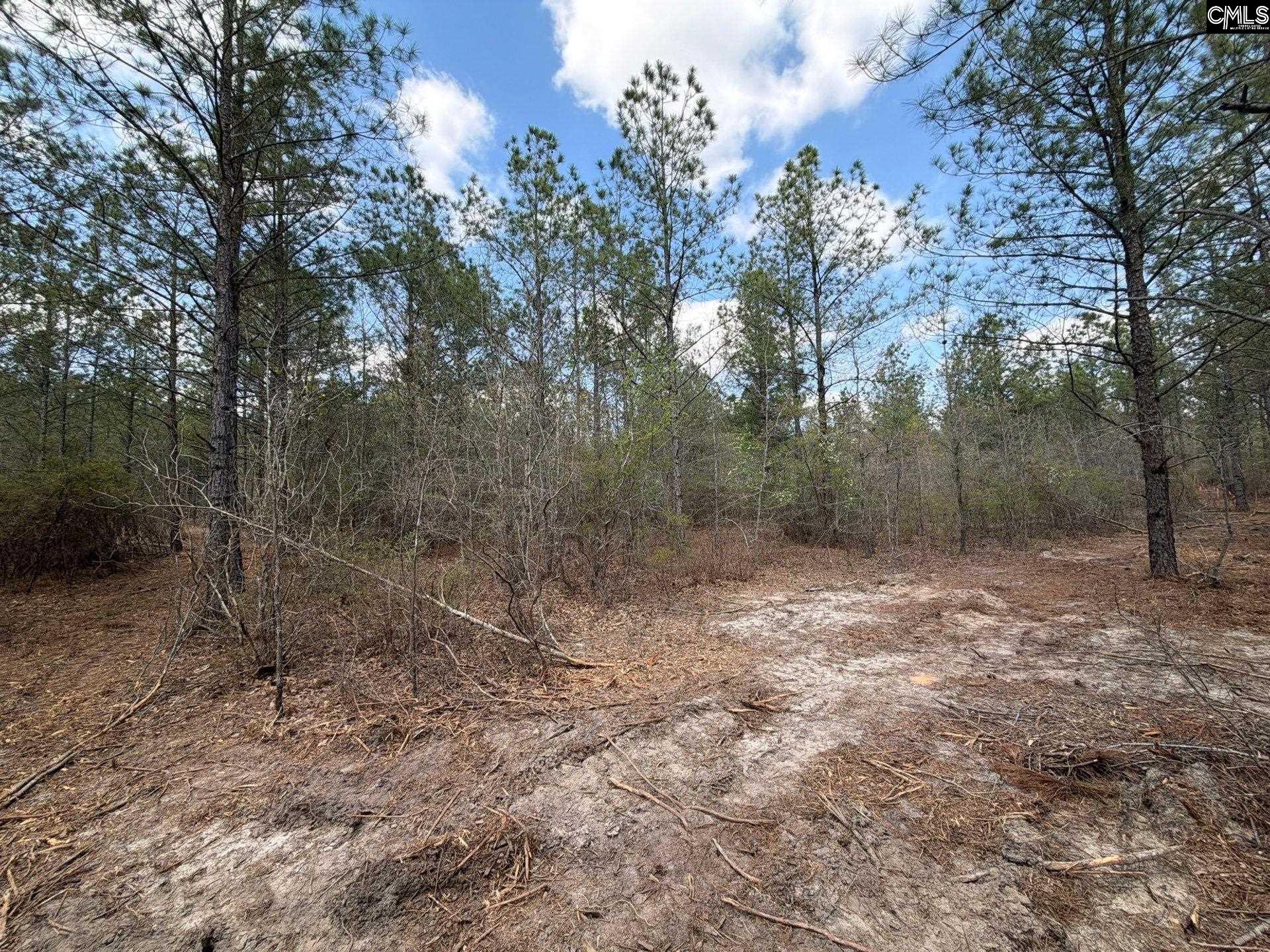 3 Mt Calvary Rd Ridge Spring Ridge Spring, SC 29129 - Photo 13 of 27