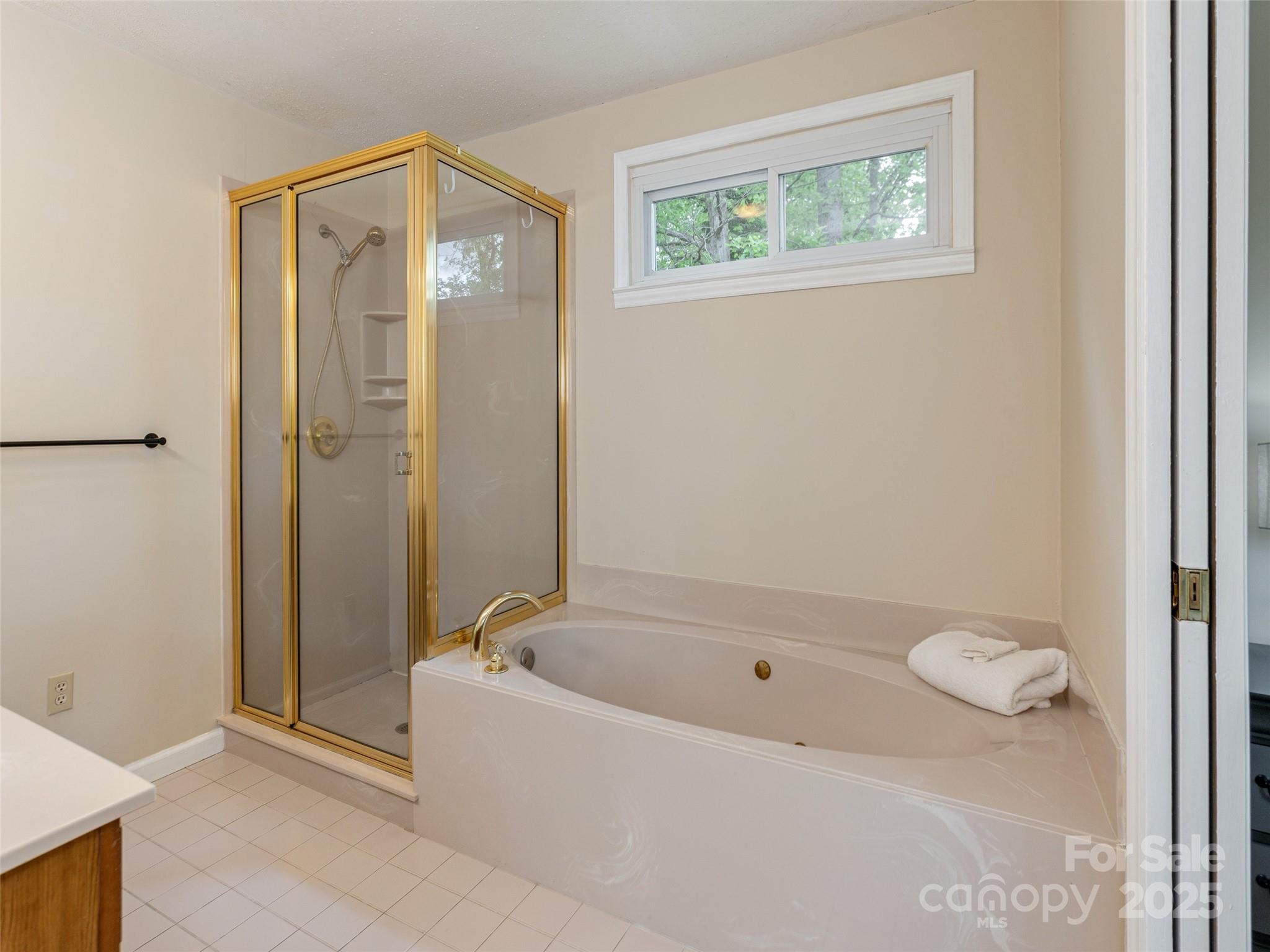 61 West Lake View Road Hendersonville, NC 28739 - Photo 22 of 37 a bathroom with a bathtub