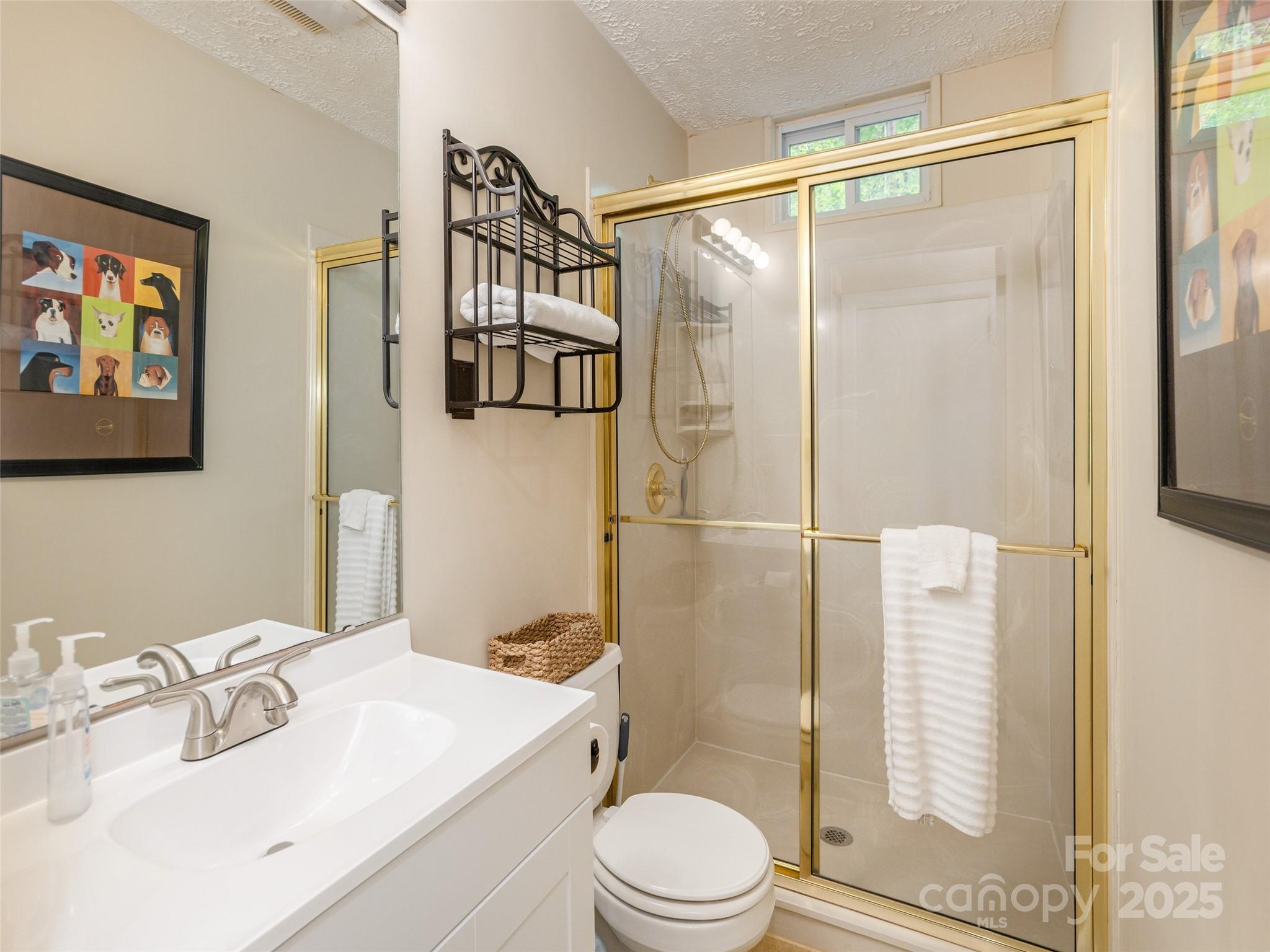 61 West Lake View Road Hendersonville, NC 28739 - Photo 24 of 37 a bathroom with a sink toilet and shower