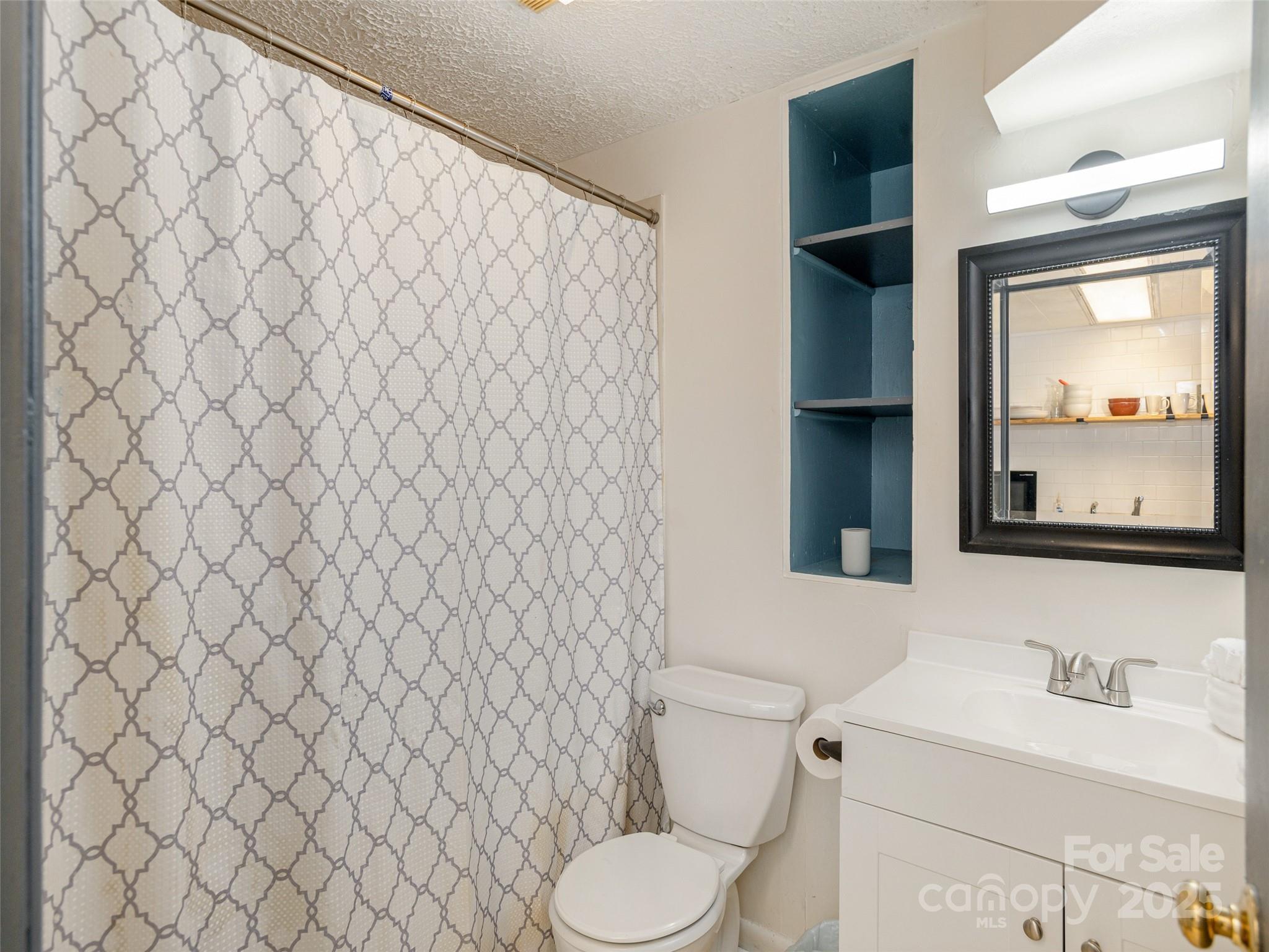 61 West Lake View Road Hendersonville, NC 28739 - Photo 30 of 37 a bathroom with a toilet and a sink