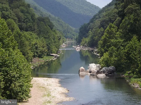 a view of a lush green forest with lots of trees