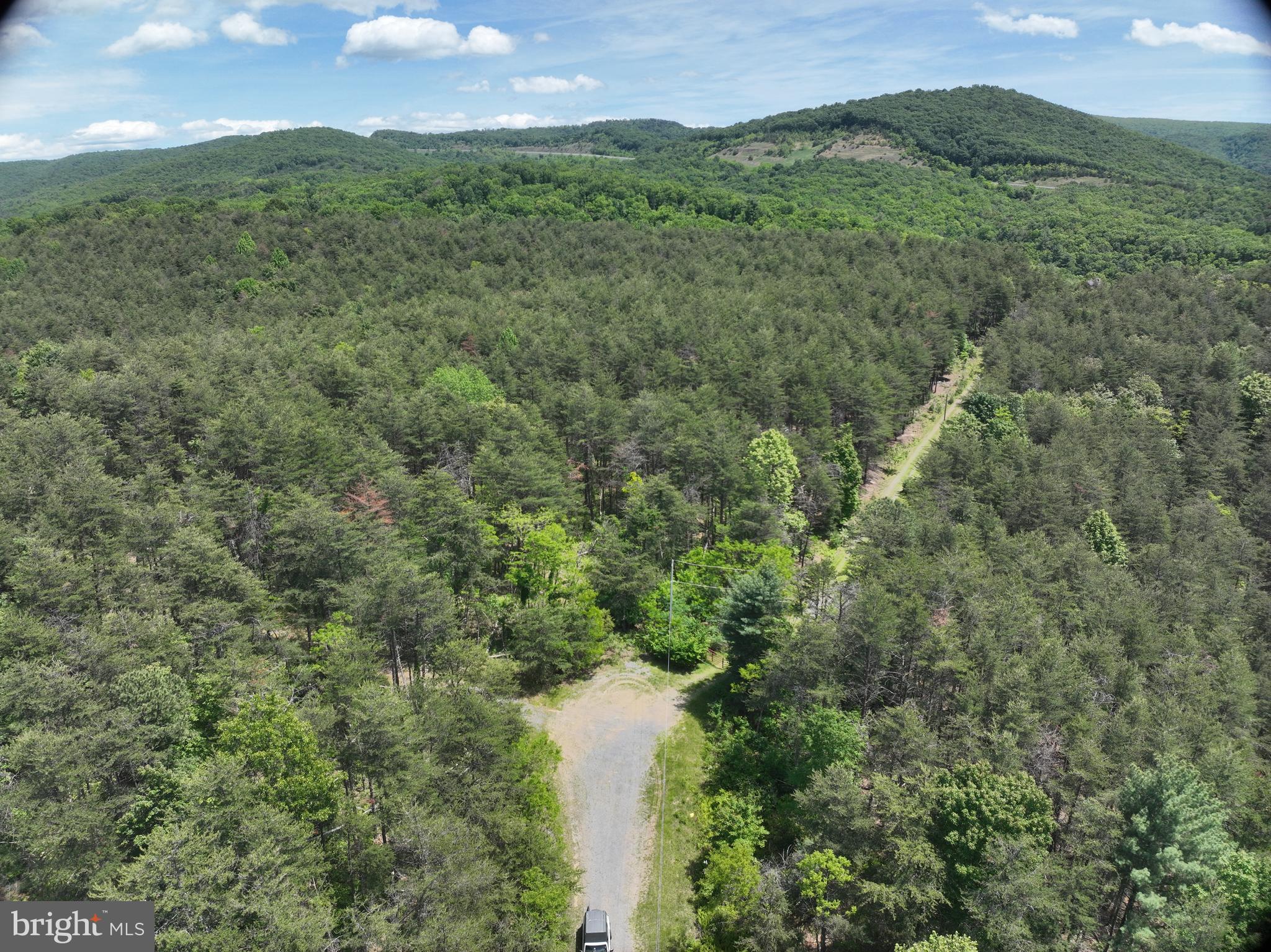 61 Ruckman Road Moorefield, WV 26836 - Photo 5 of 13 a view of a lush green forest with trees in the background
