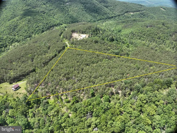 a view of a green field