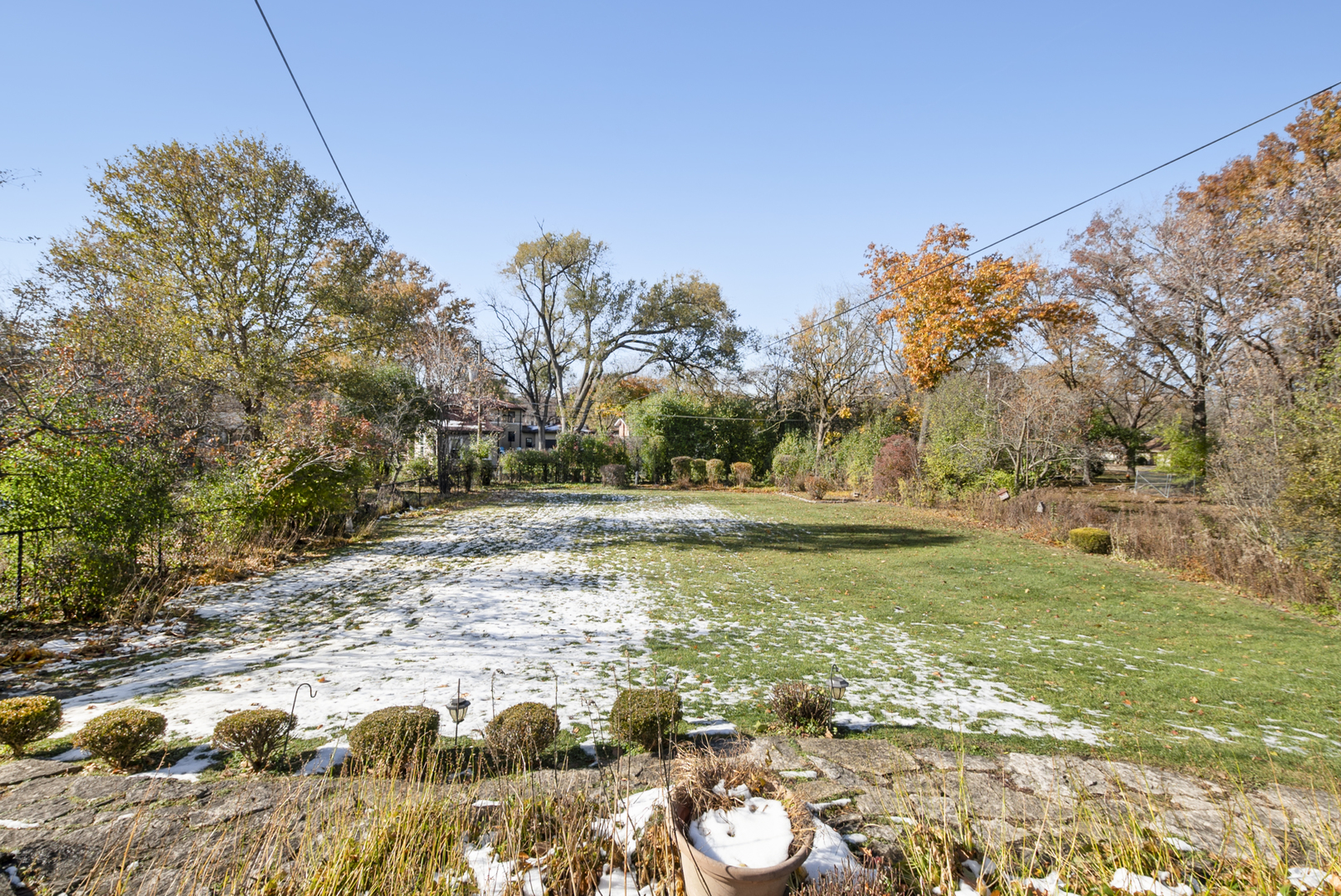 802 Argyle Avenue Flossmoor, IL 60422 - Photo 14 of 15 a view of yard with green space