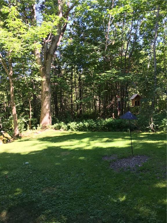 95 Morrill Road Belmont, ME 04952 - Photo 23 of 28 Birds and woods....