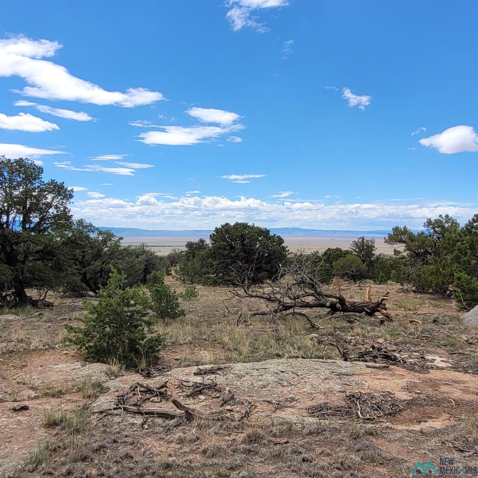 0 Lookout Loop, Unit 89 Datil, NM 87821 - Photo 21 of 38 Gallery Image 21