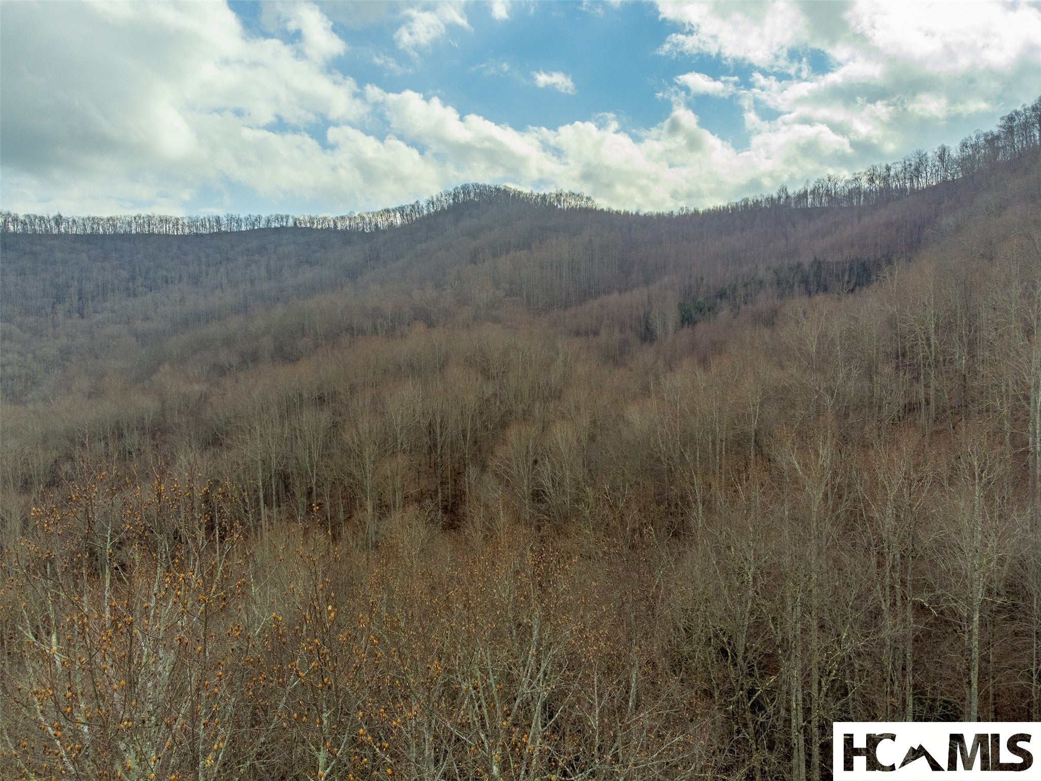 1241 Henry Road Franklin, NC 28734 - Photo 33 of 67 Gallery Image 33