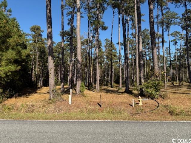 1.25-acs 1.25-acs Long Avenue Extension Conway, SC 29526 - Photo 2 of 2