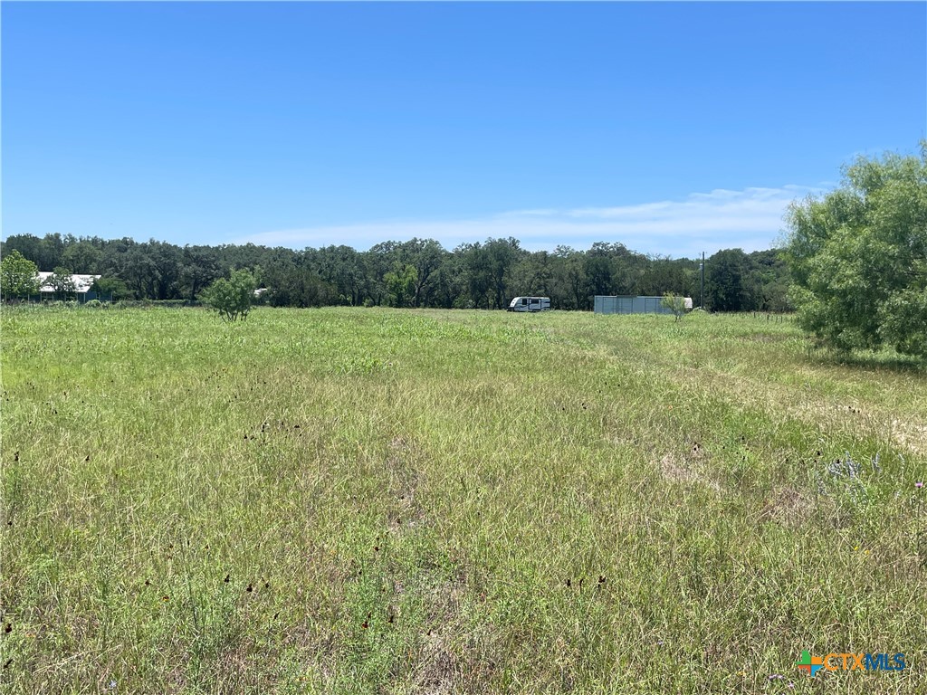 3411 Mail Rte Road Fischer, TX 78623 - Photo 2 of 12 a view of outdoor space and yard
