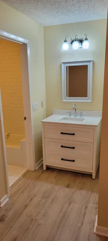 a bathroom with a sink a mirror and a bathtub