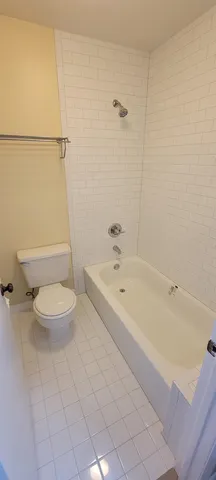 a bathroom with a bathtub and a toilet