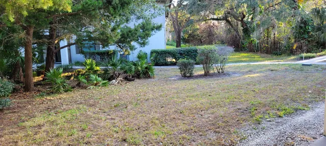 a view of a garden with plants and a bench
