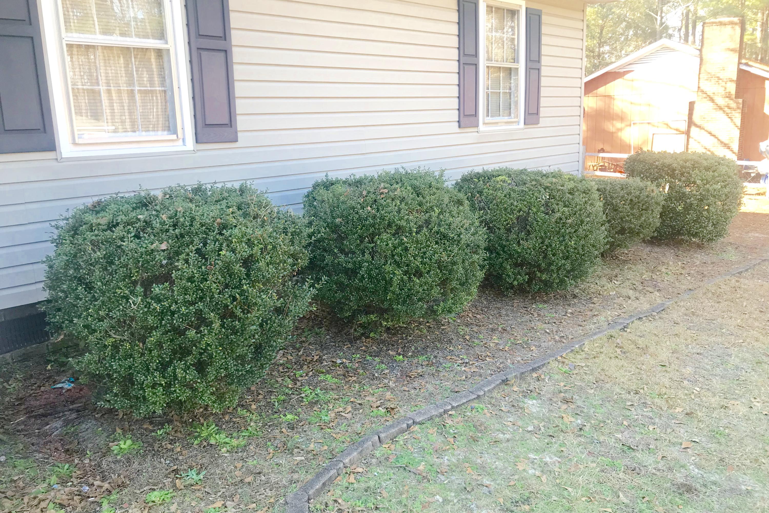 1810 Baker Street Rockingham, NC 28379 - Photo 29 of 30 IMG_8556