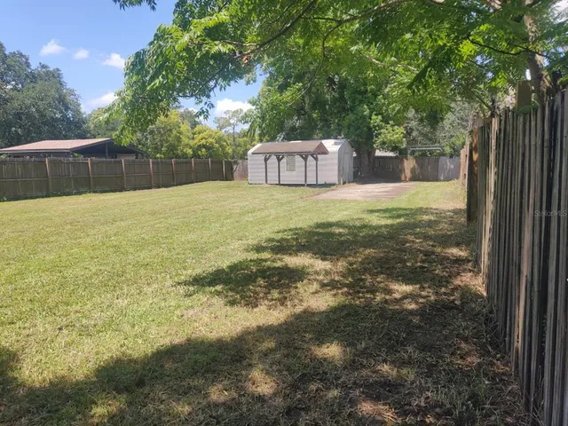 a view of a yard with a large tree