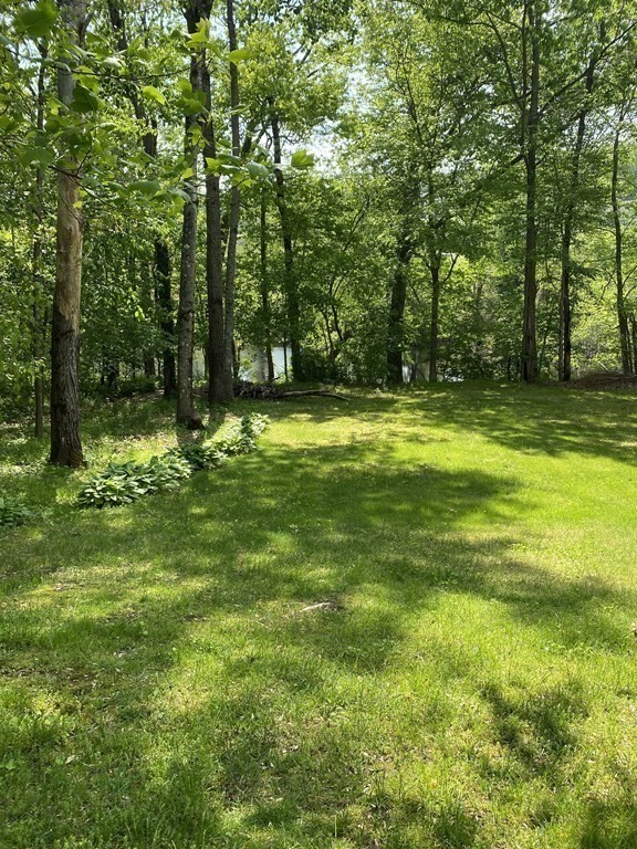 37 Beach Point Road Lancaster, MA 01523 - Photo 4 of 14 a view of a trees in a yard