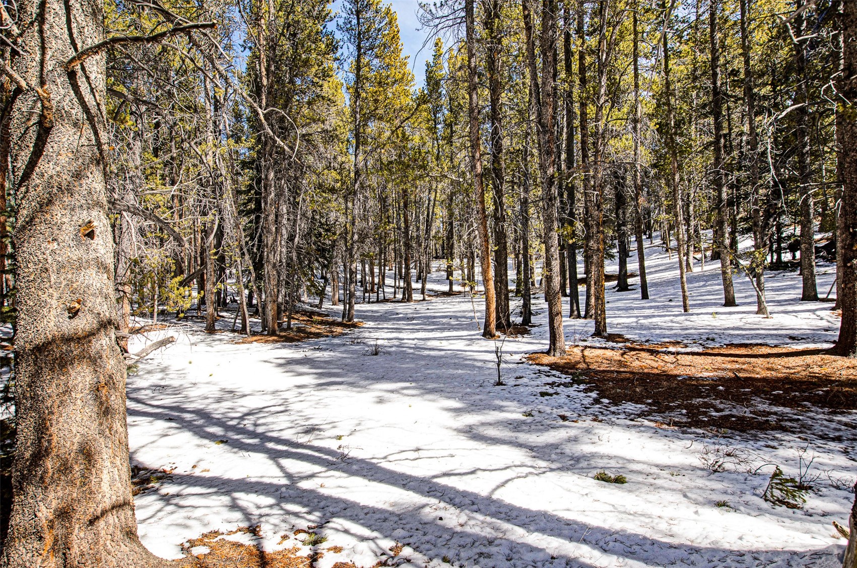 122 Arts Pike Road Fairplay, CO 80440 - Photo 32 of 50 Gallery Image 32