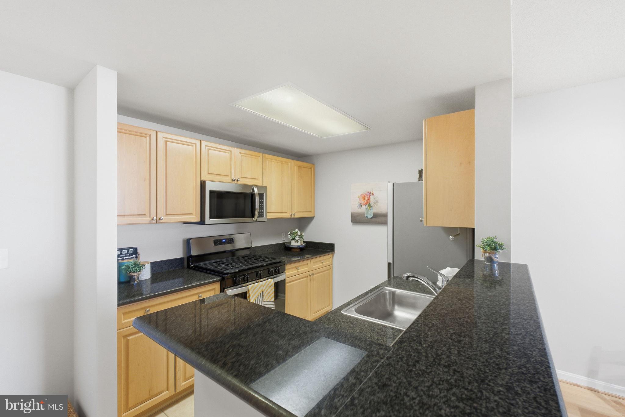 2726 Gallows Road, Unit 510 Vienna, VA 22180 - Photo 3 of 31