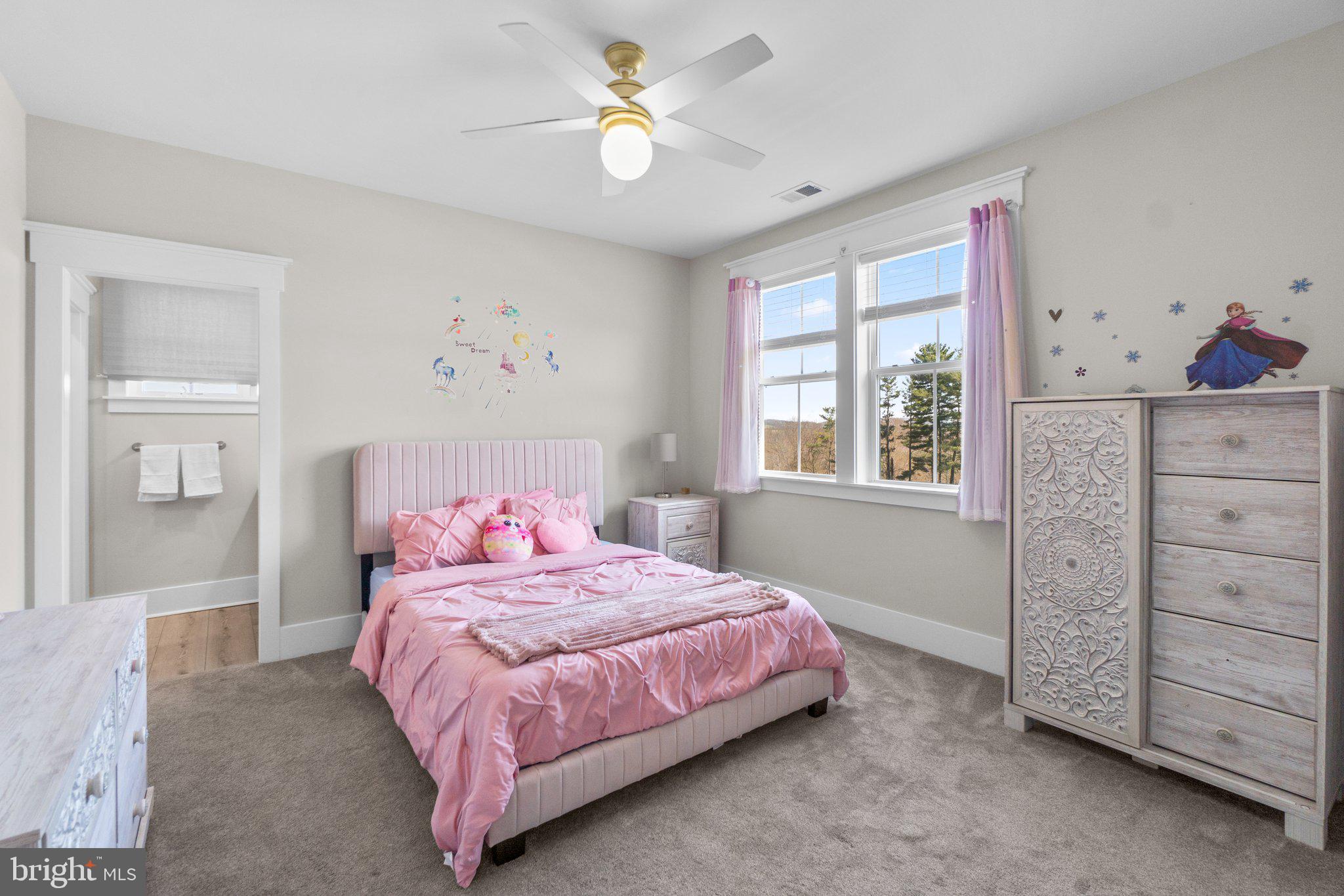 2827 Sumantown Road Middletown, MD 21769 - Photo 47 of 88 Bedroom 3 connected to 4 by Jack and Jill