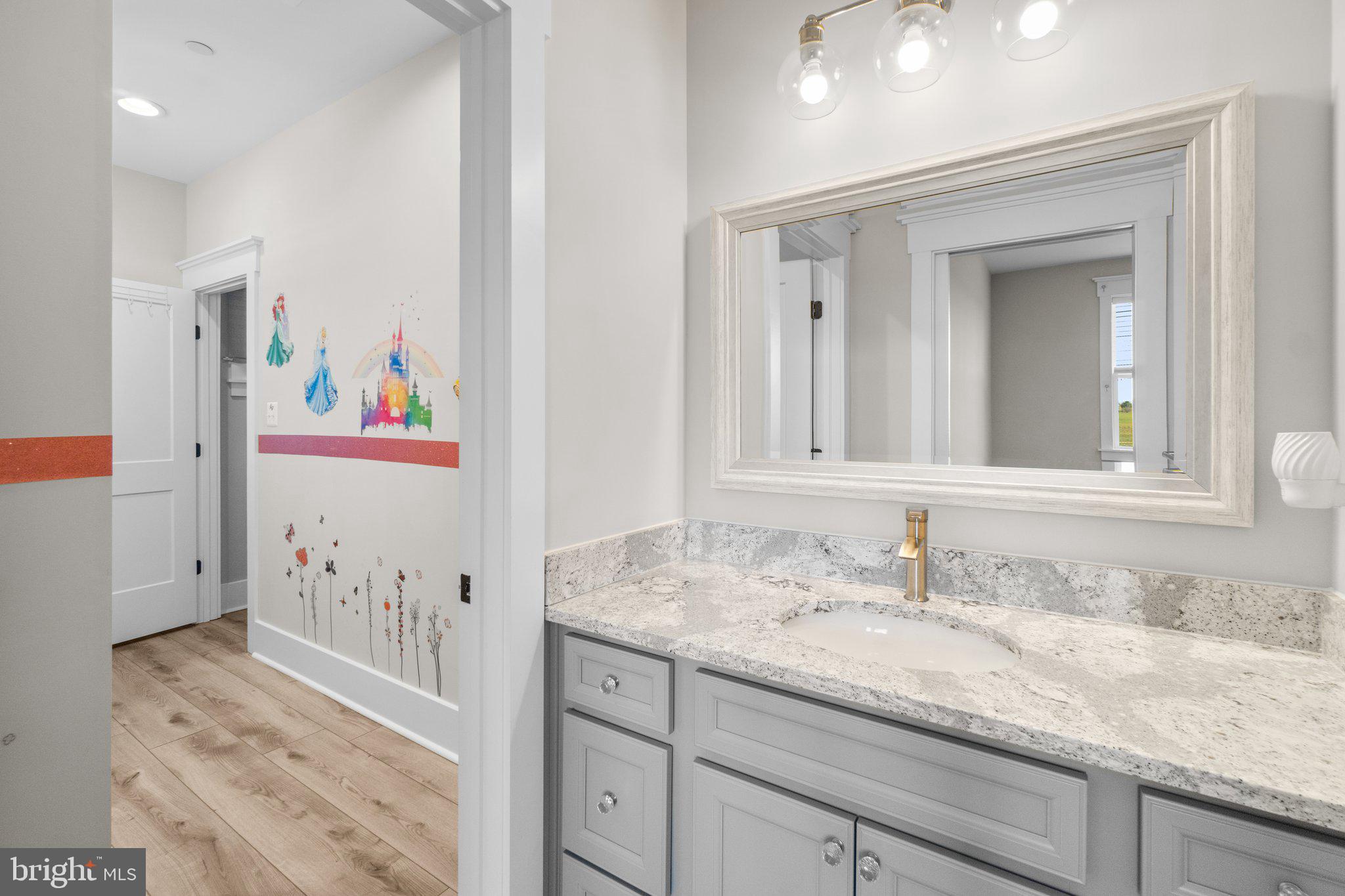 2827 Sumantown Road Middletown, MD 21769 - Photo 51 of 88 Jack and Jill Bath- Sink 2
