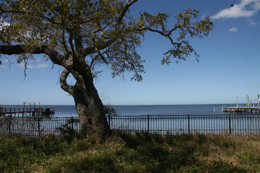 0 Bluff Boulevard Holiday, FL 34691 - Photo 4 of 9