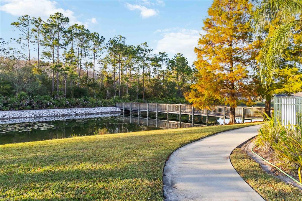 9138 Shadowbrook Trail Orlando, FL 32825 - Photo 42 of 47 a view of a swimming pool with lounge chair