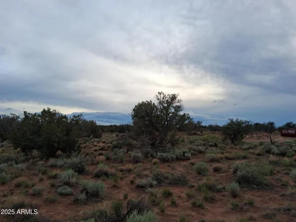 a view of a lake with a yard