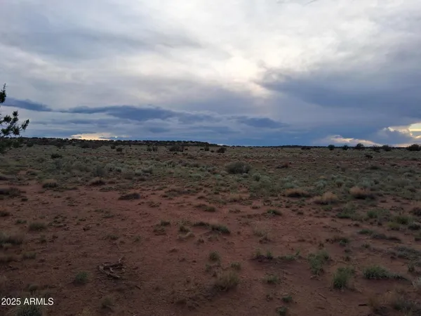 a view of a building in middle of the forest