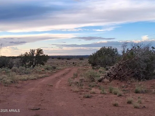 a view of an ocean beach