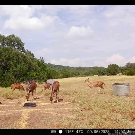 a black and white photo of a lake