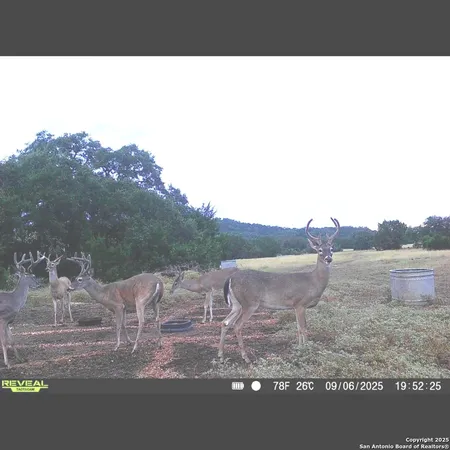 a view of a dry yard with mountains in the background