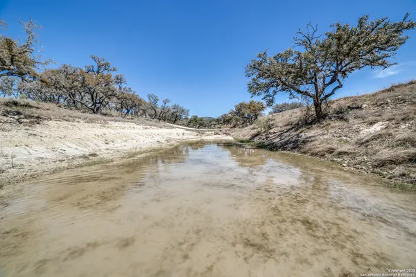 a view of a yard with trees