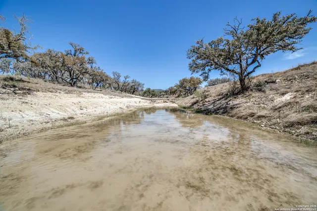 a view of a yard with trees