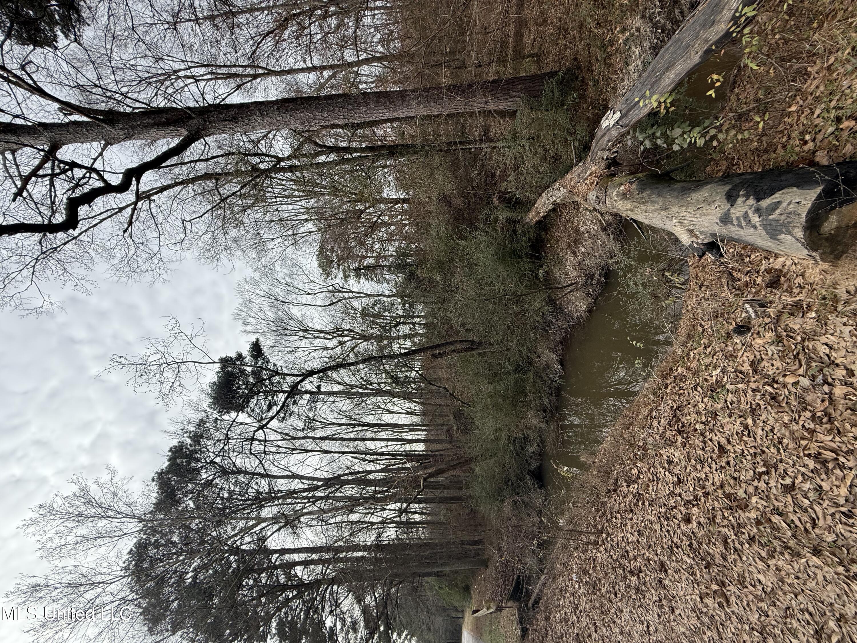 from road looking at the property