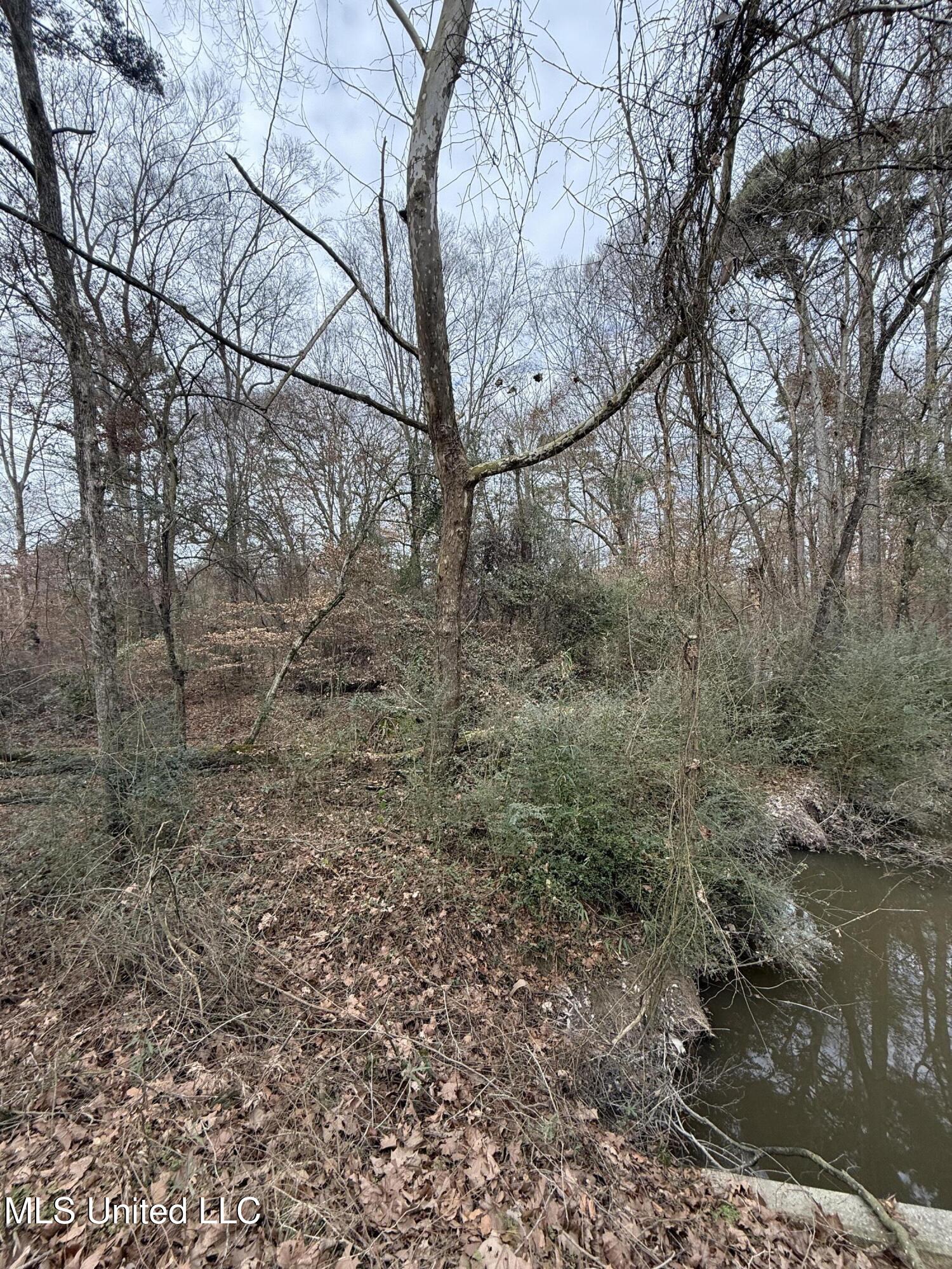 1 North Jordan Street Carthage, MS 39051 - Photo 2 of 10 IMG_1738