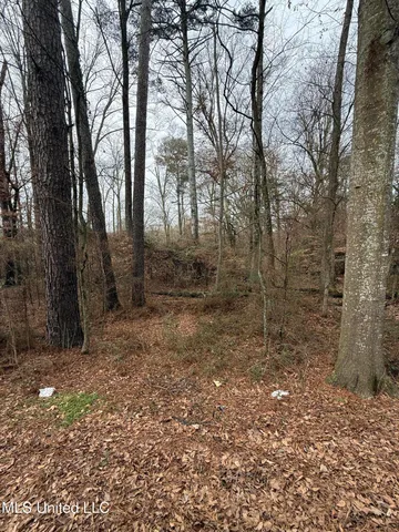 $18,000 | 1 North Jordan Street, Carthage, MS 39051